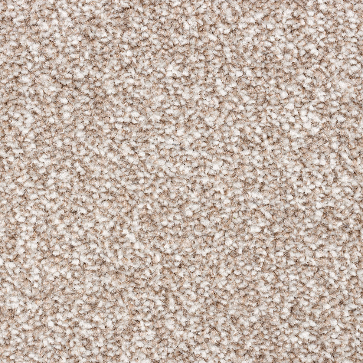 Zanzibar Classic Beechwood 91 Carpet