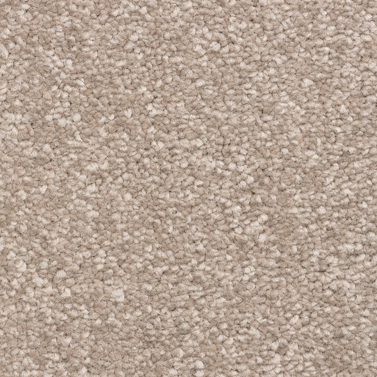 Zanzibar Classic Parchment 173 Carpet