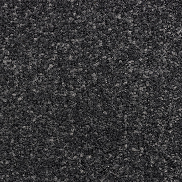 Zanzibar Deluxe Carbon 77 Carpet