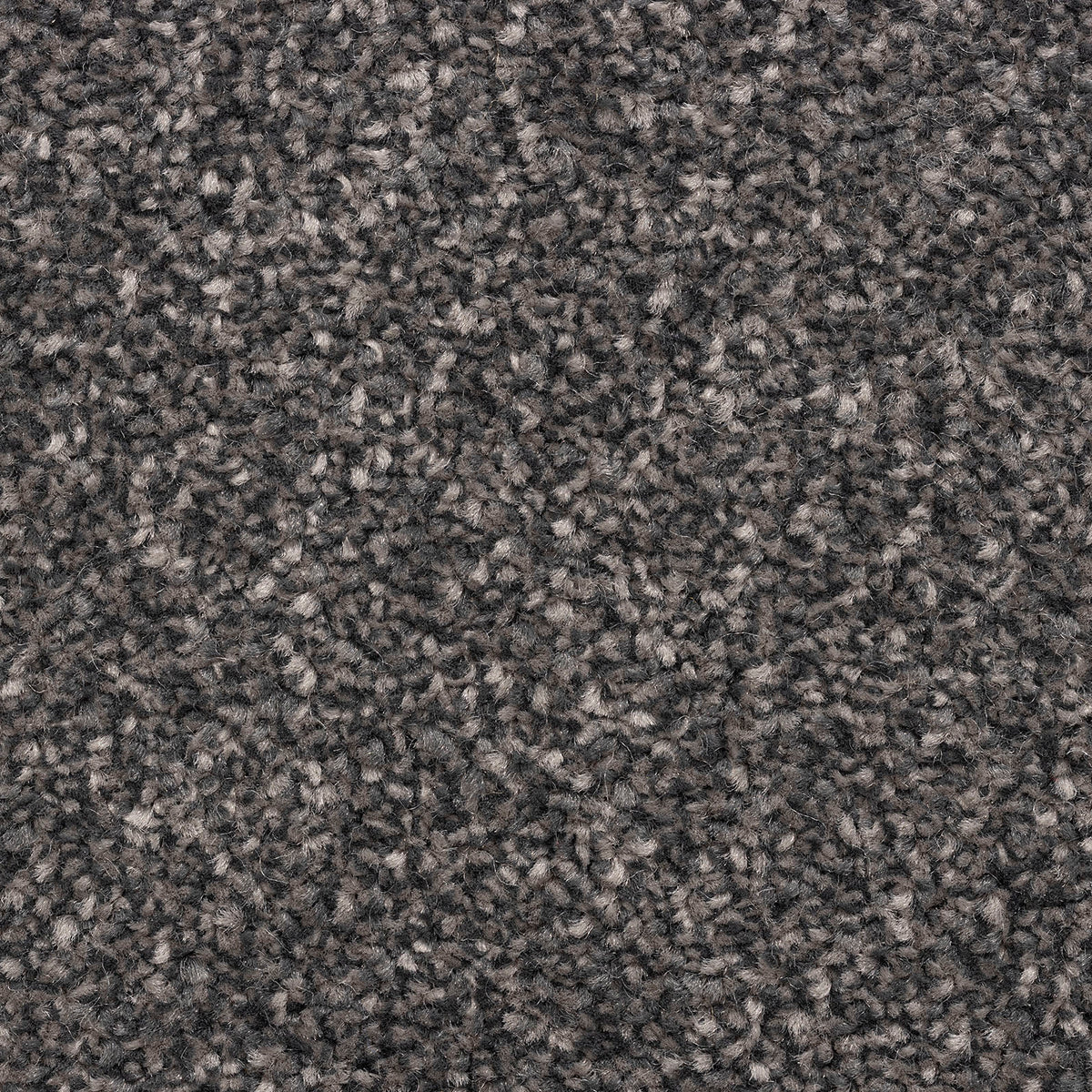 Zanzibar Deluxe Driftwood 76 Carpet