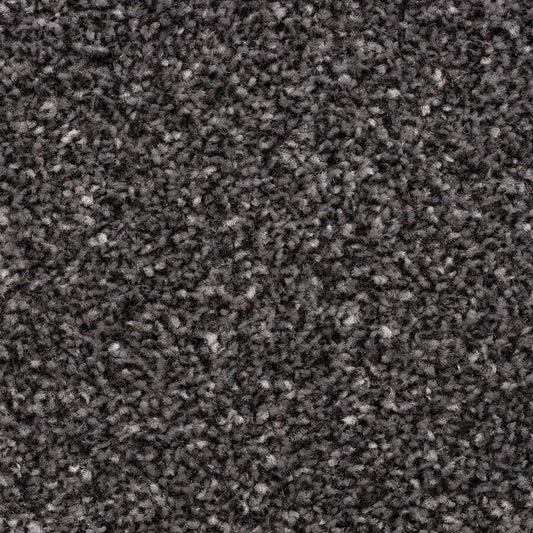 Zanzibar Supreme Peppercorn 176 Carpet