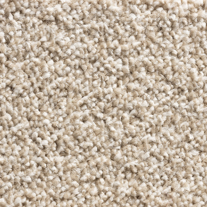 Maple Ridge Fb Fudge 372 Carpet