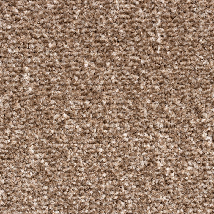 Maple Ridge AB Stone 392 Carpet