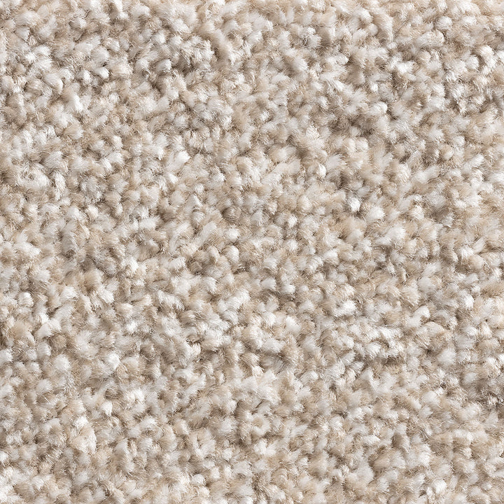 Alps Fb Beige 91 Carpet