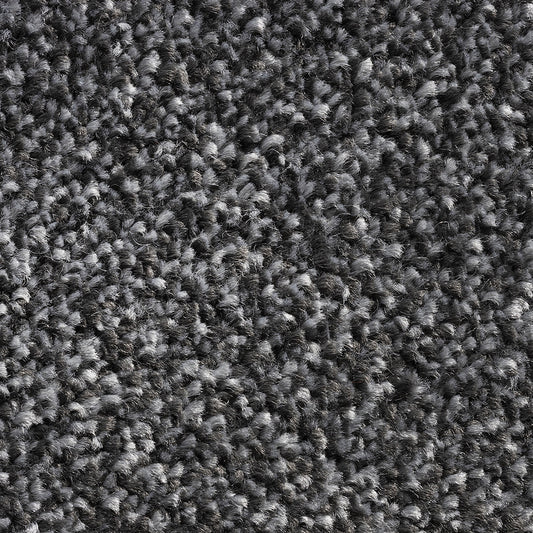 Alps Fb Carbon 77 Carpet