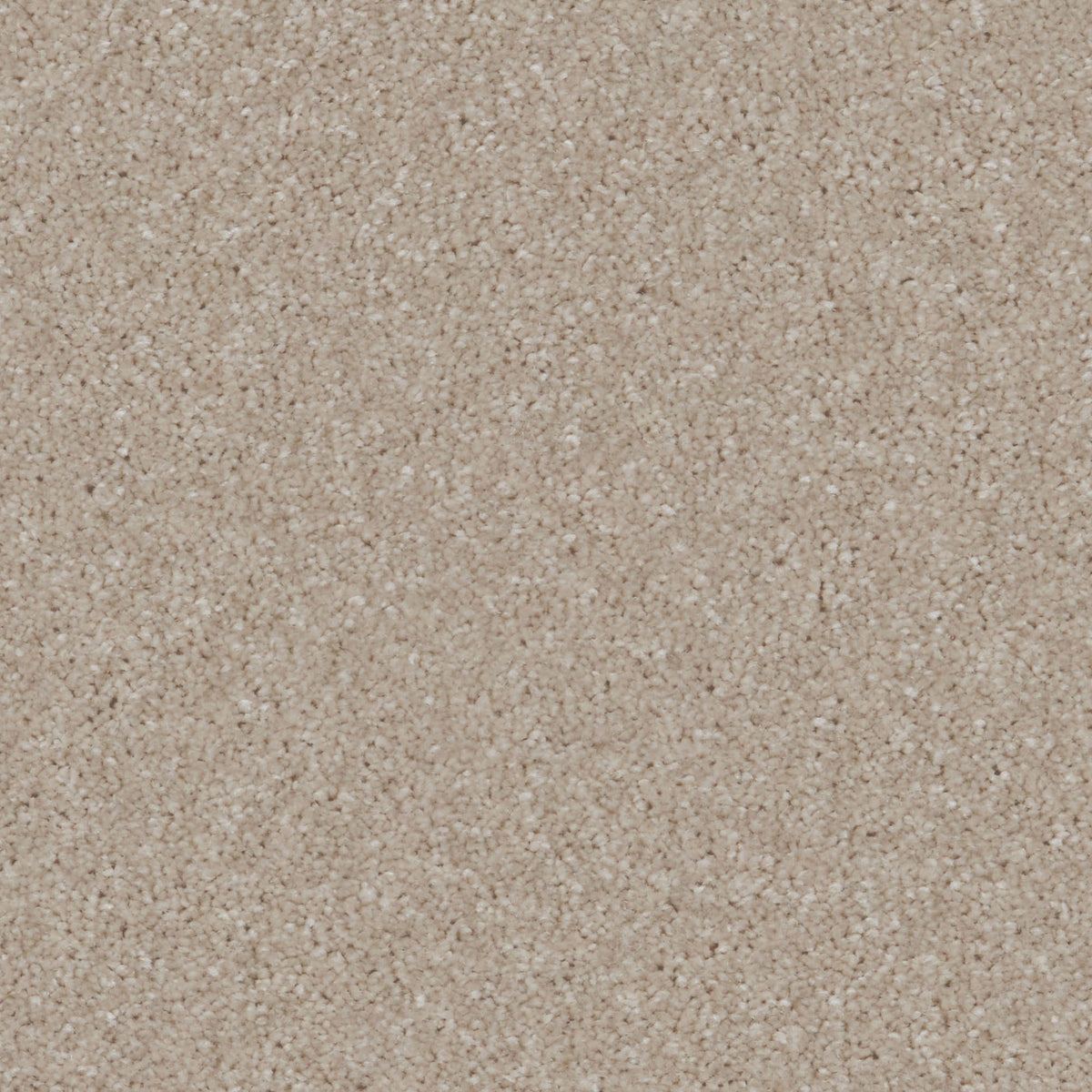 Cairo SB Mercury 173 Carpet