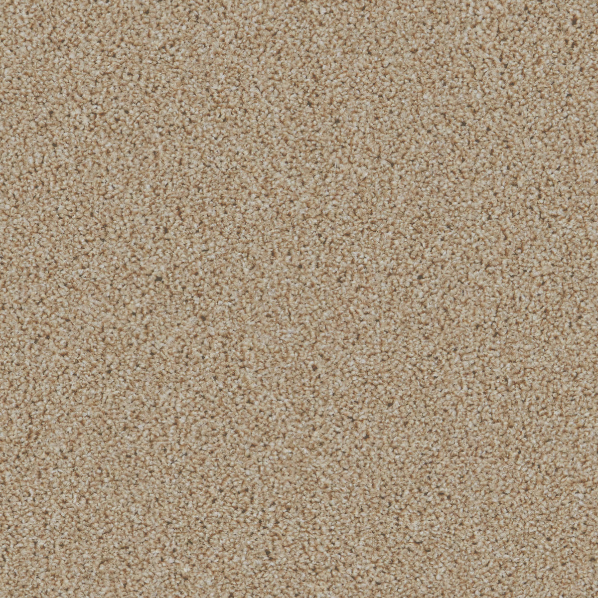 Cairo SB Sand 70 Carpet