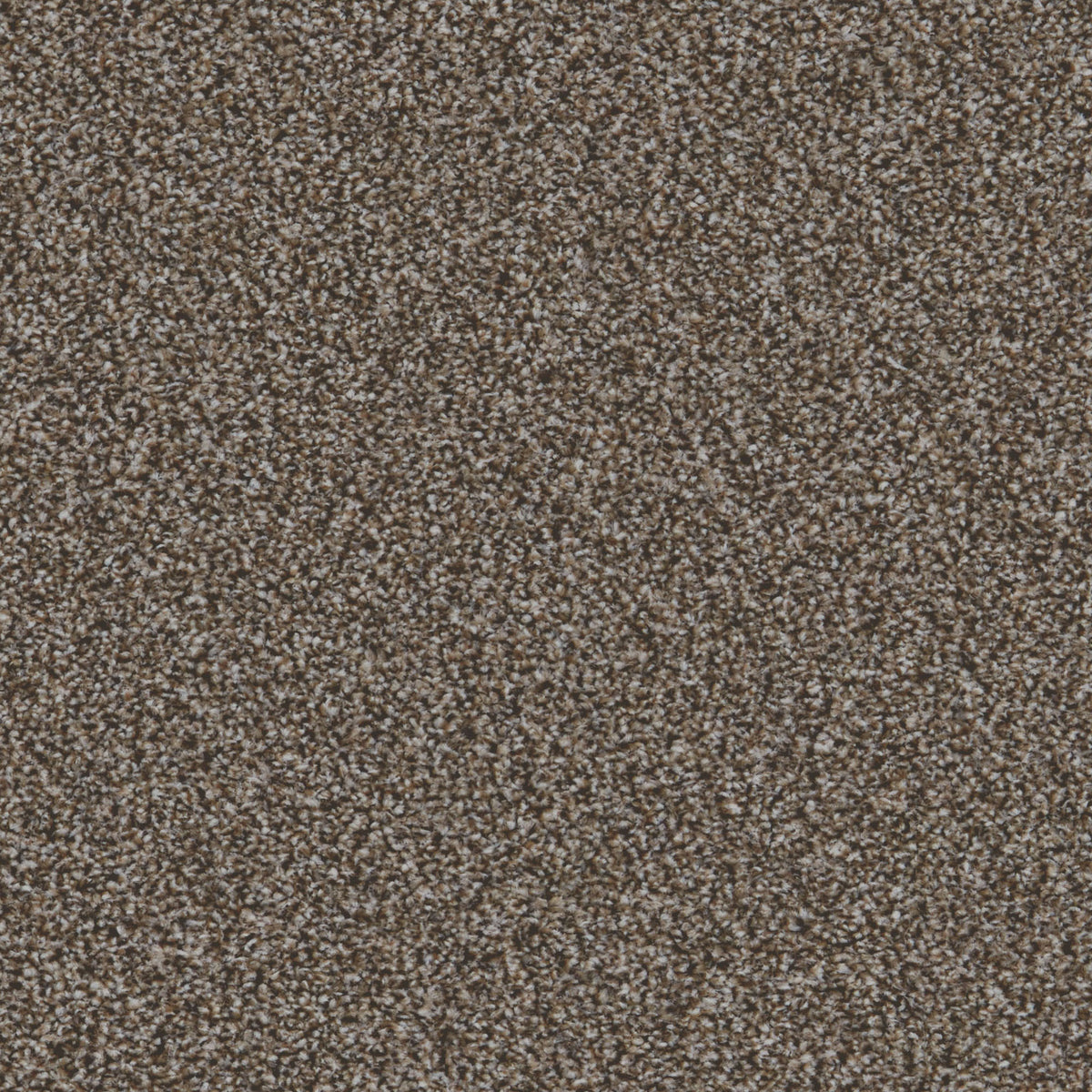 Cairo SB Sable 92 Carpet