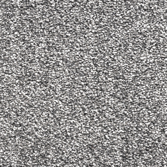 Paddington Fusion Carbon 77 Carpet