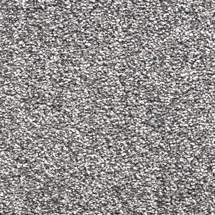Paddington Fusion Carbon 77 Carpet