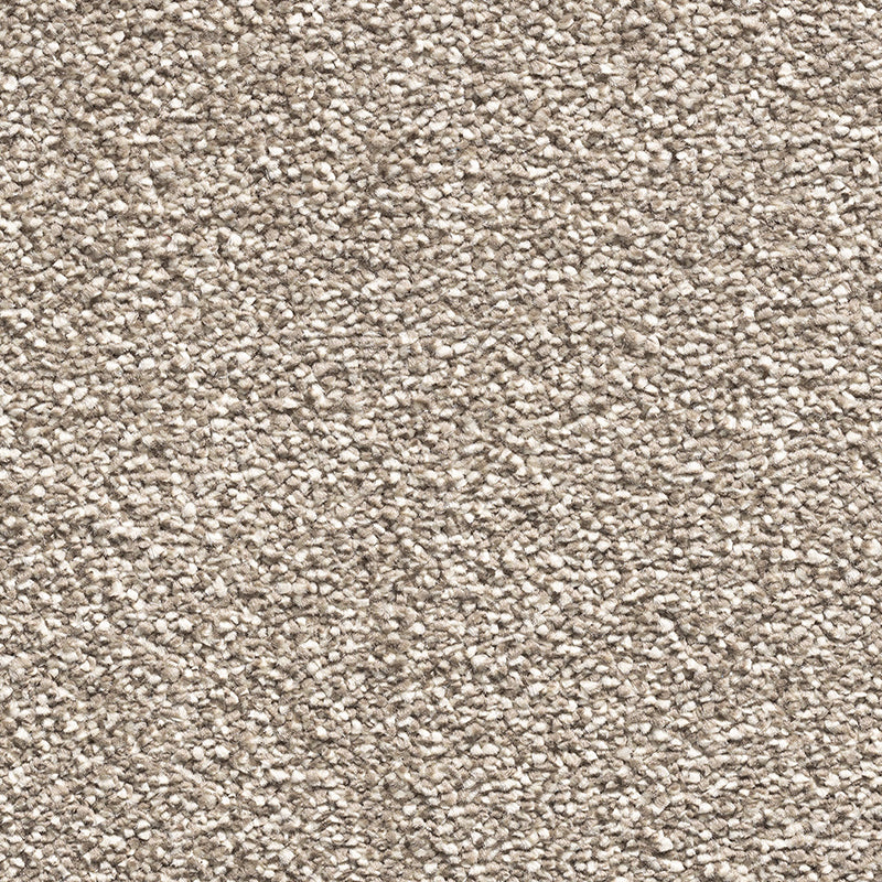 Paddington Fusion Bracken 492 Carpet