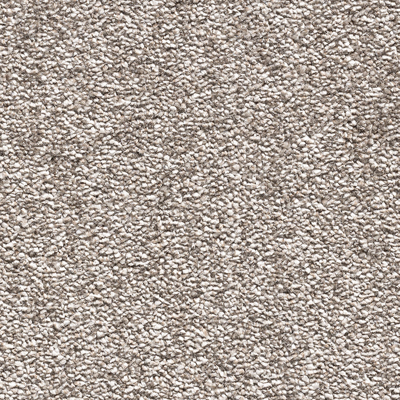 Paddington Fusion Latte 92 Carpet