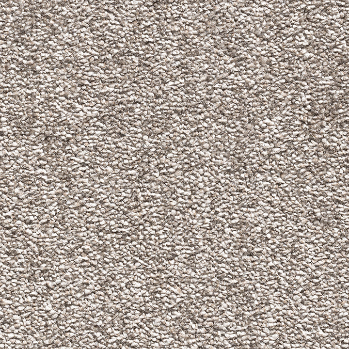Paddington Fusion Latte 92 Carpet