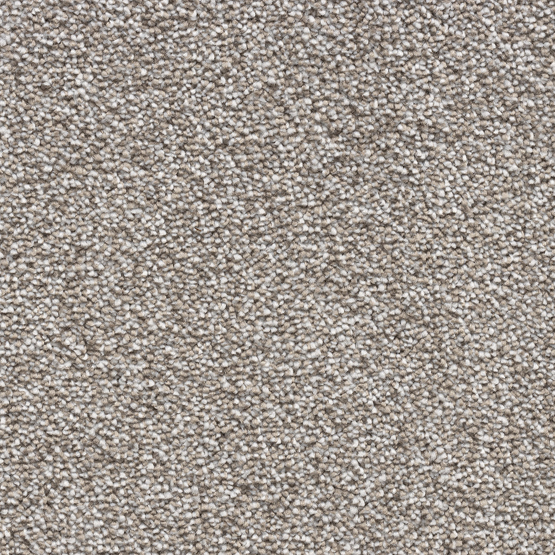 Saffron SB Medal 73 Carpet