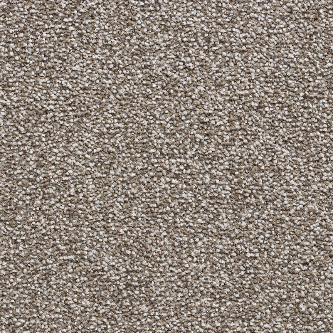 Saffron SB Latte 92 Carpet