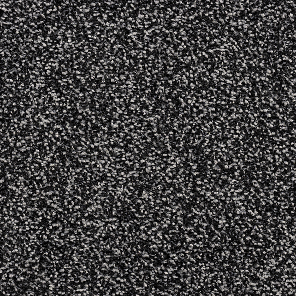 Saffron SB Noir 78 Carpet