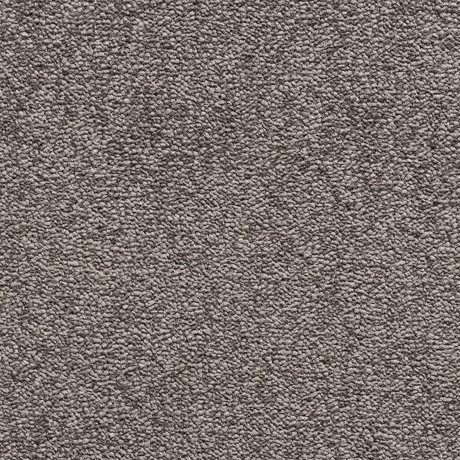 Bellevue Fusion Mink 79 Carpet