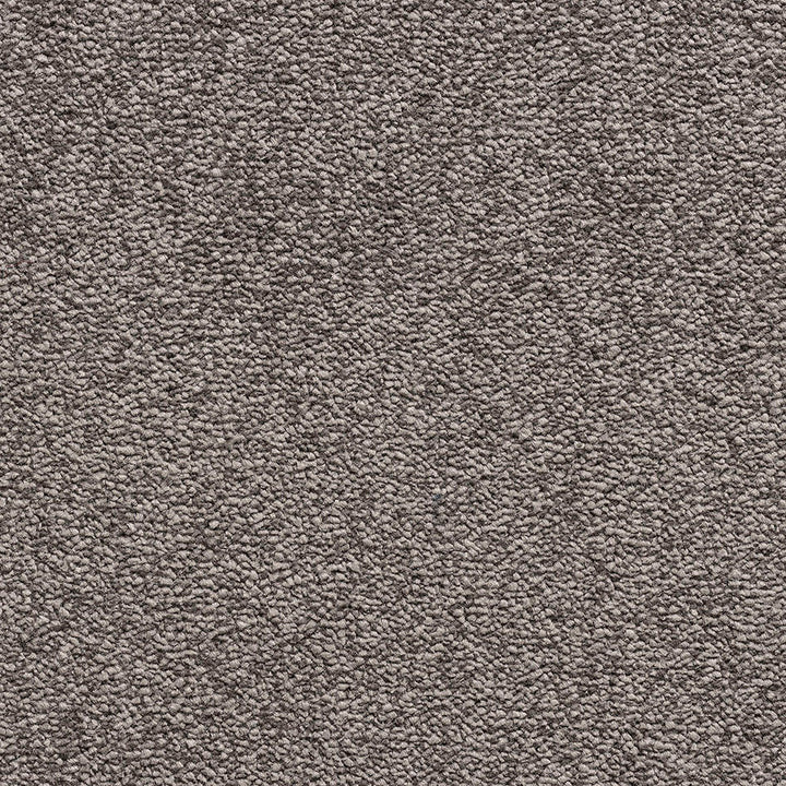 Bellevue Fusion Mink 79 Carpet