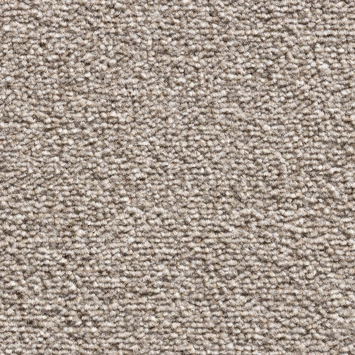 Royal Prestige Sable 491 Carpet