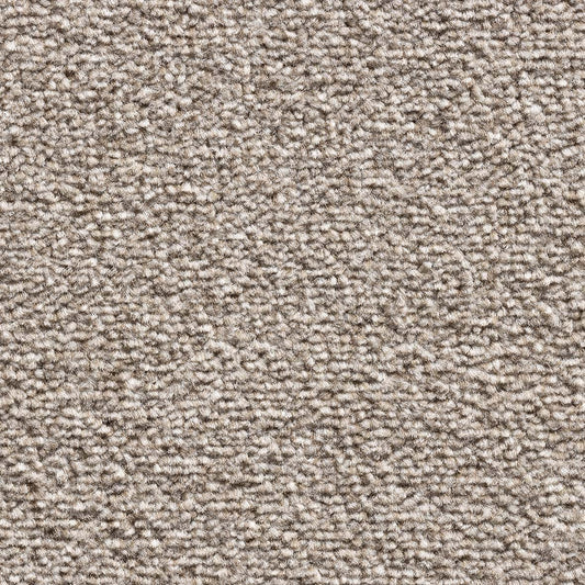Royal Prestige Sable 491 Carpet