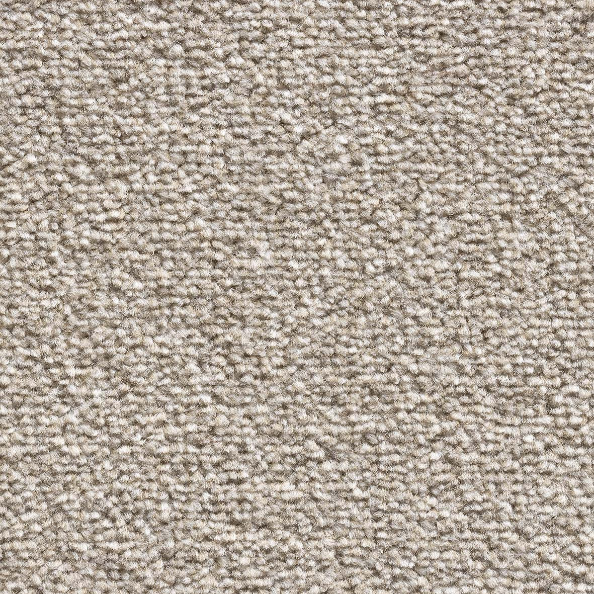 Royal Prestige Beige 471 Carpet