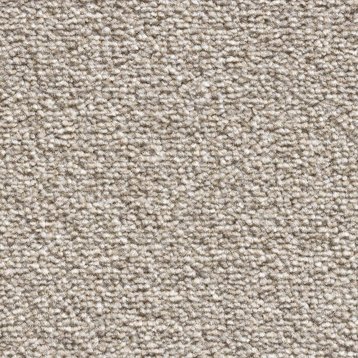 Royal Prestige Beige 471 Carpet