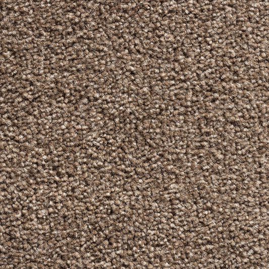 Royal Prestige Walnut 94 Carpet