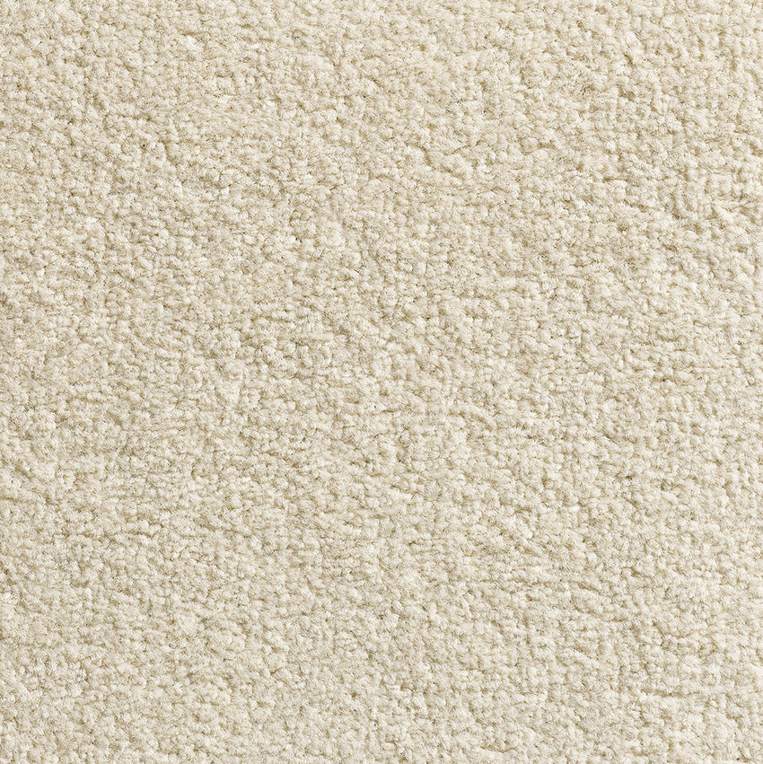 Revolution SB Ivory 69 Carpet
