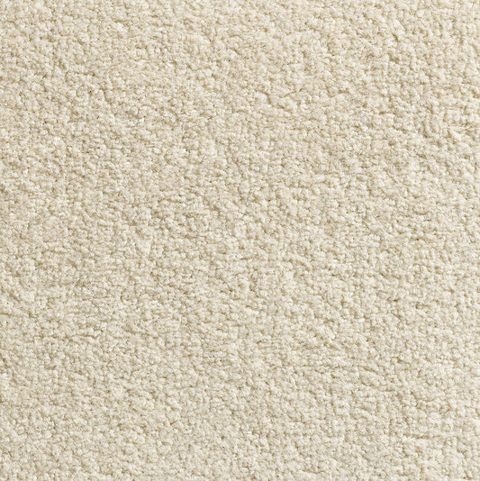 Revolution SB Ivory 69 Carpet
