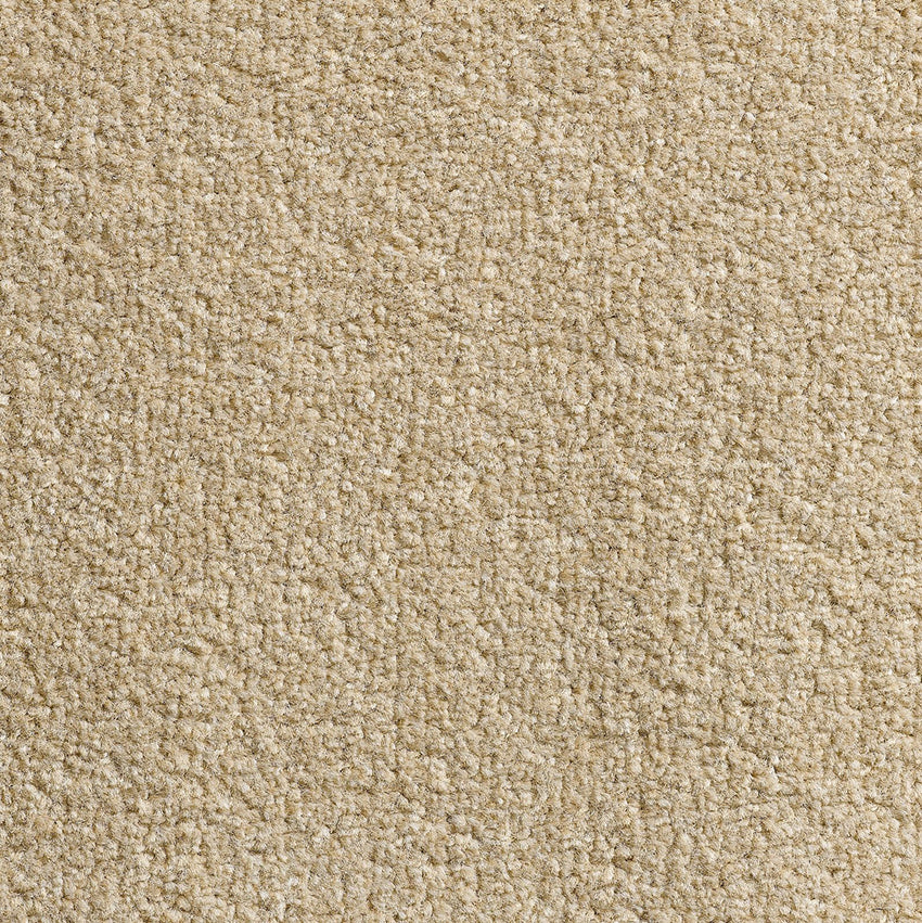 Revolution SB Warm Beige 70 Carpet