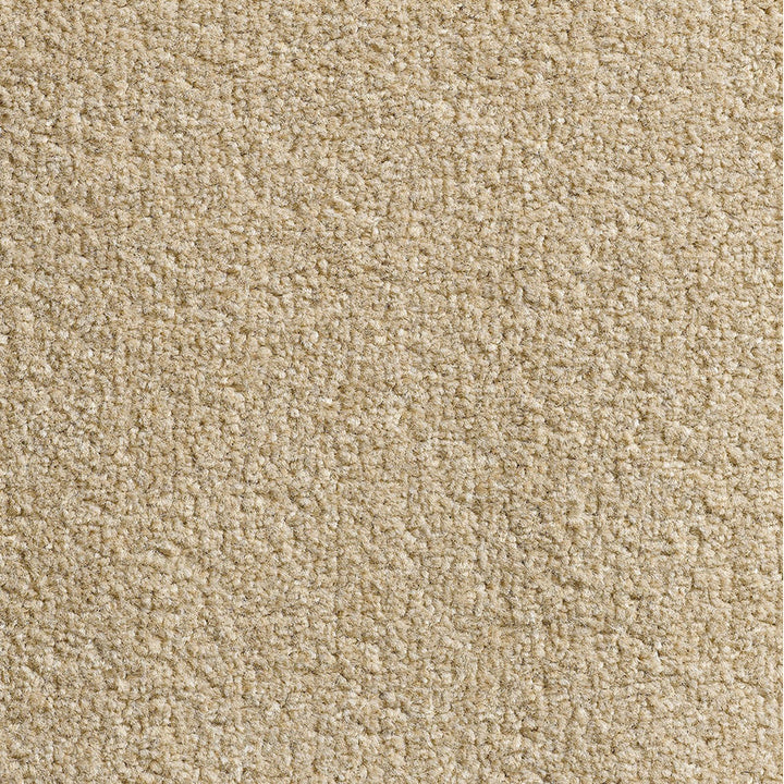 Revolution SB Warm Beige 70 Carpet