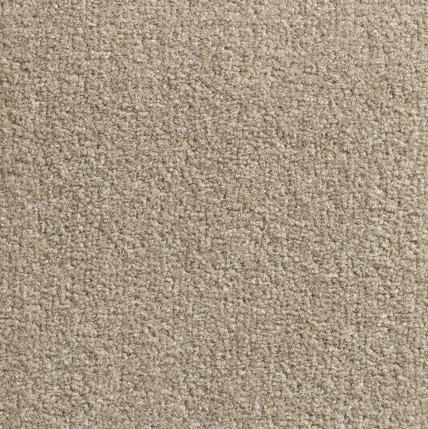 Revolution SB Raffia 75 Carpet