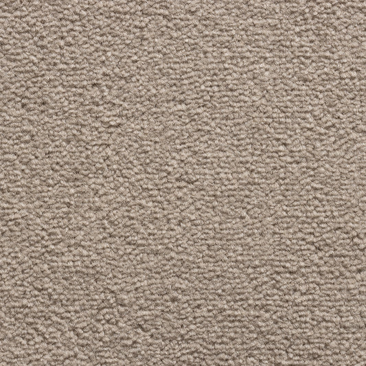 Revolution SB Latte 191 Carpet