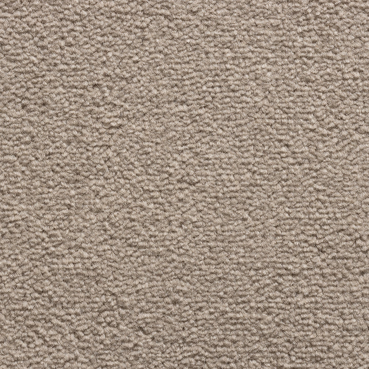 Revolution SB Latte 191 Carpet