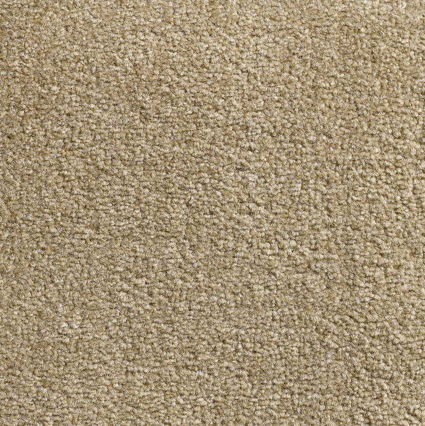 Revolution SB Stone 73 Carpet
