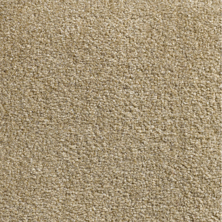 Revolution SB Stone 73 Carpet