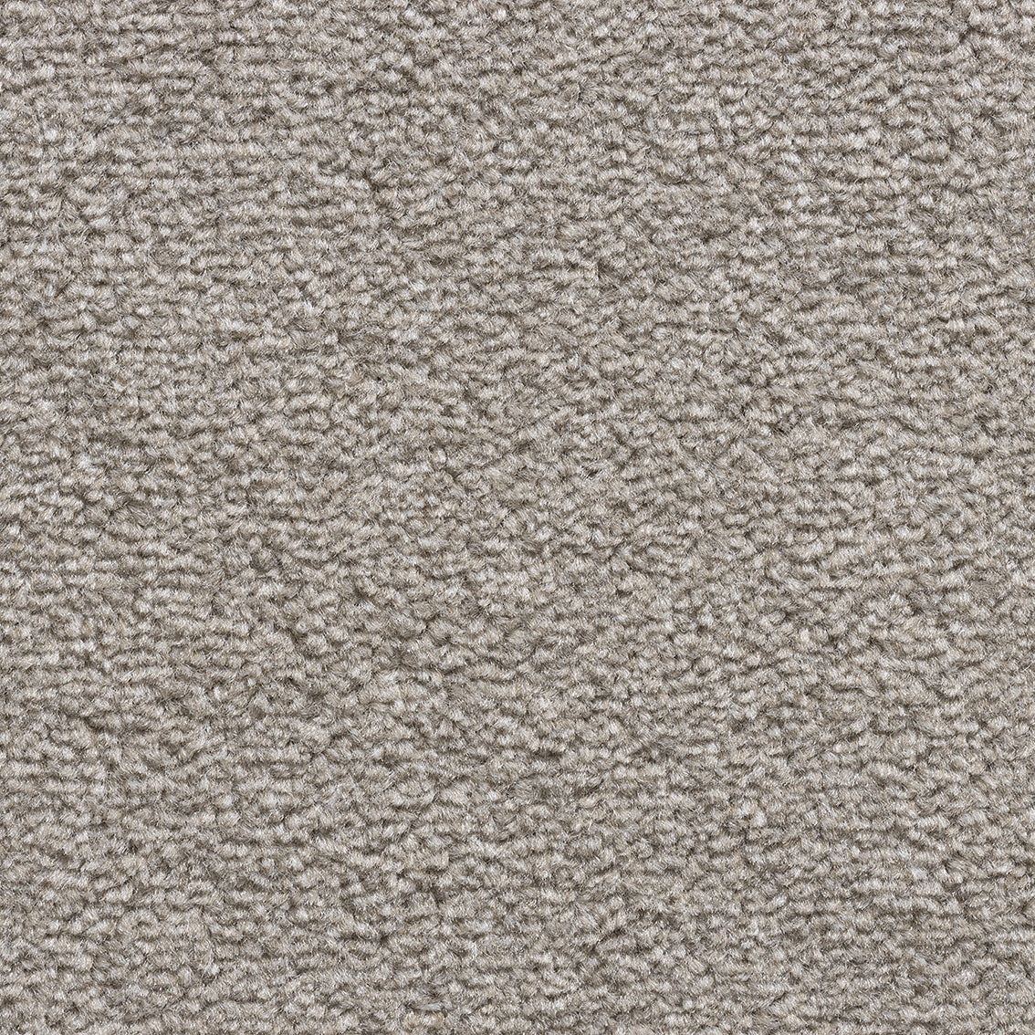 Revolution SB Pebble 372 Carpet