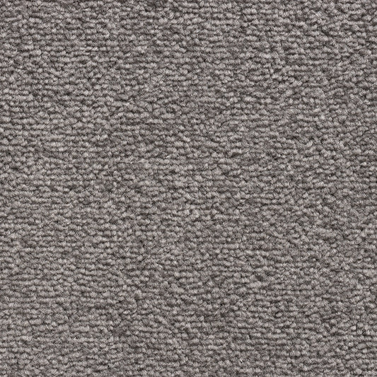 Revolution SB Mink 377 Carpet