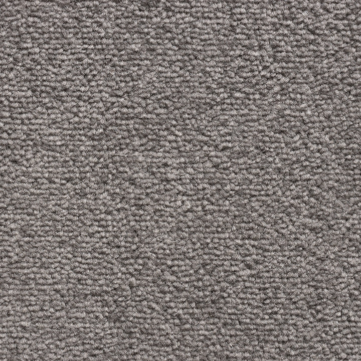 Revolution SB Mink 377 Carpet