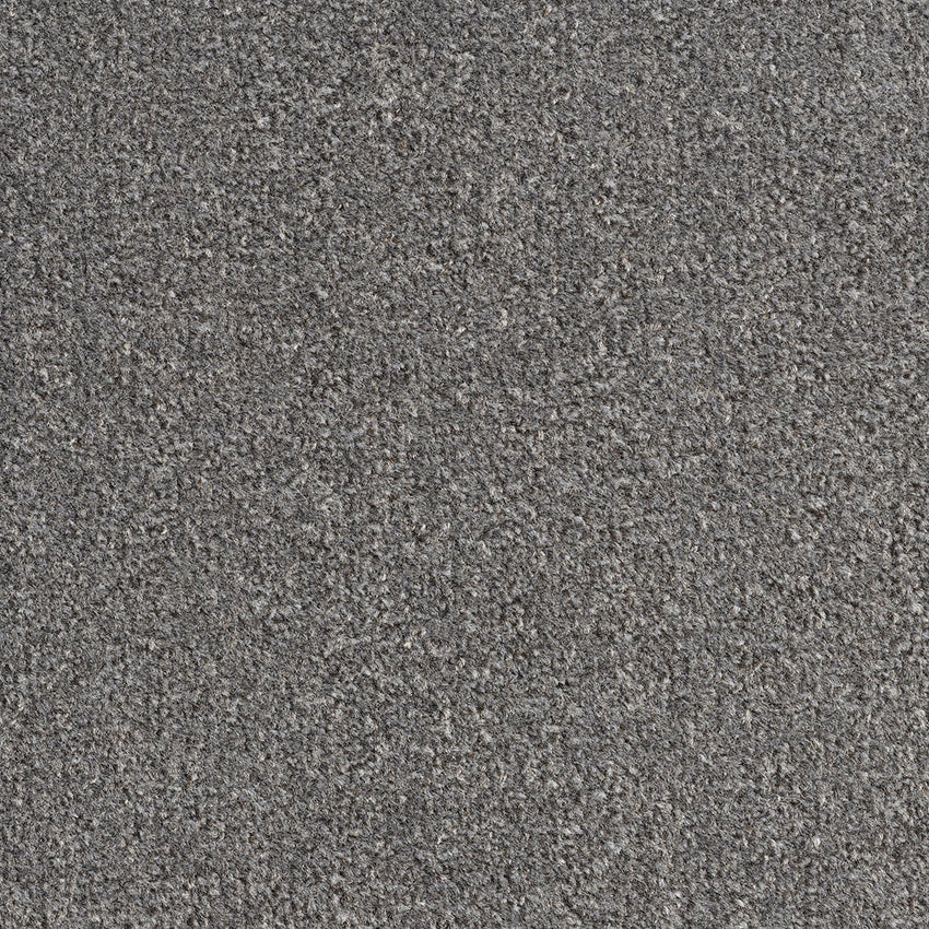 Revolution SB Taupe 195 Carpet