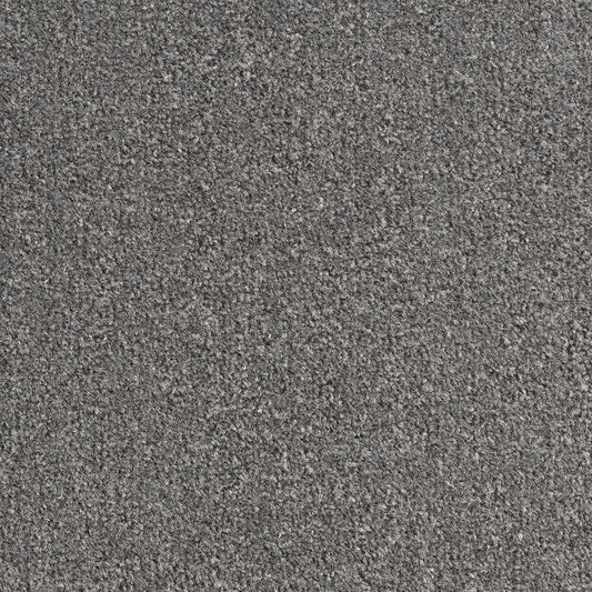 Revolution SB Taupe 195 Carpet