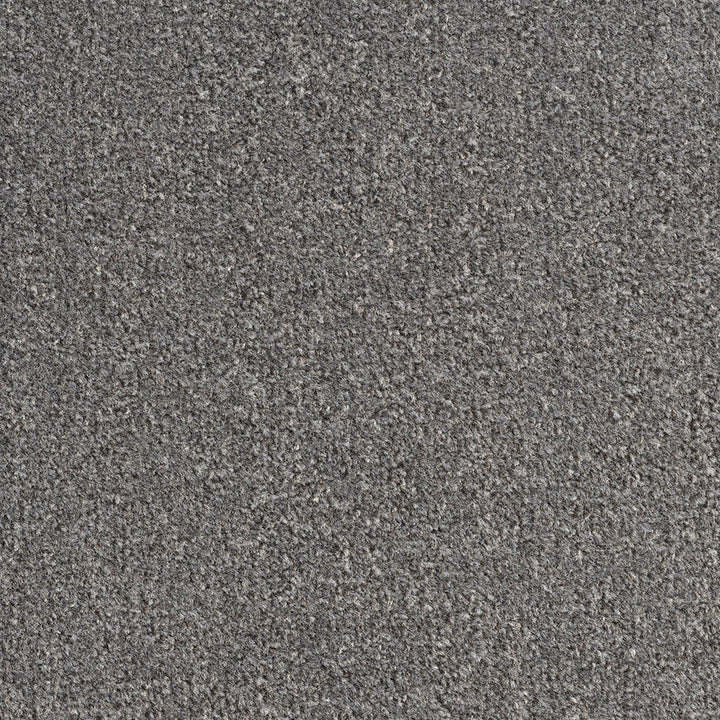 Revolution SB Taupe 195 Carpet