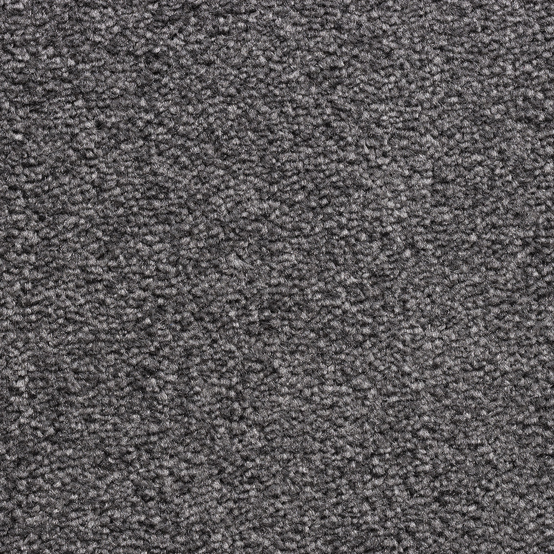 Revolution SB Iron 175 Carpet