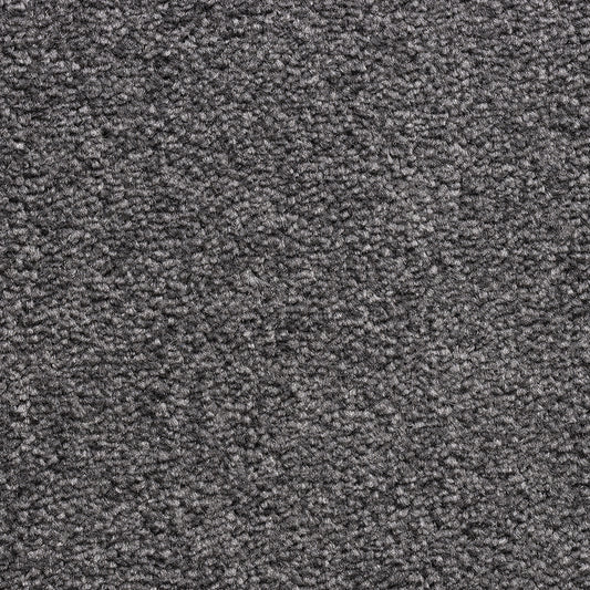 Revolution SB Iron 175 Carpet