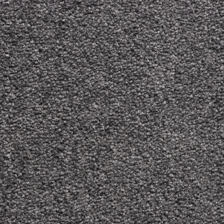 Revolution SB Iron 175 Carpet