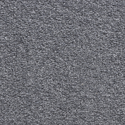 Revolution SB Pewter 376 Carpet