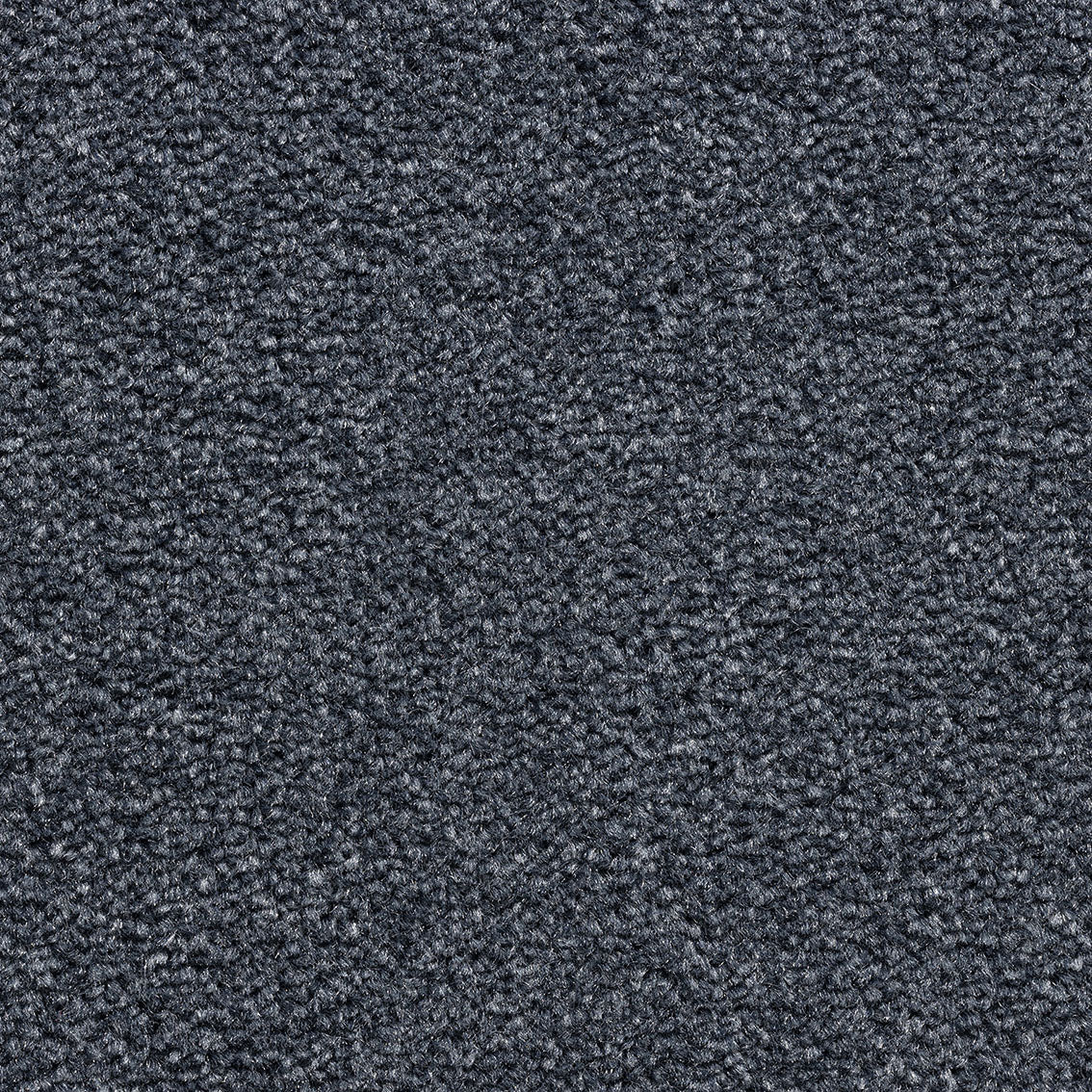 Revolution SB Carbon 385 Carpet
