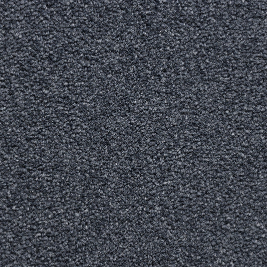 Revolution SB Carbon 385 Carpet