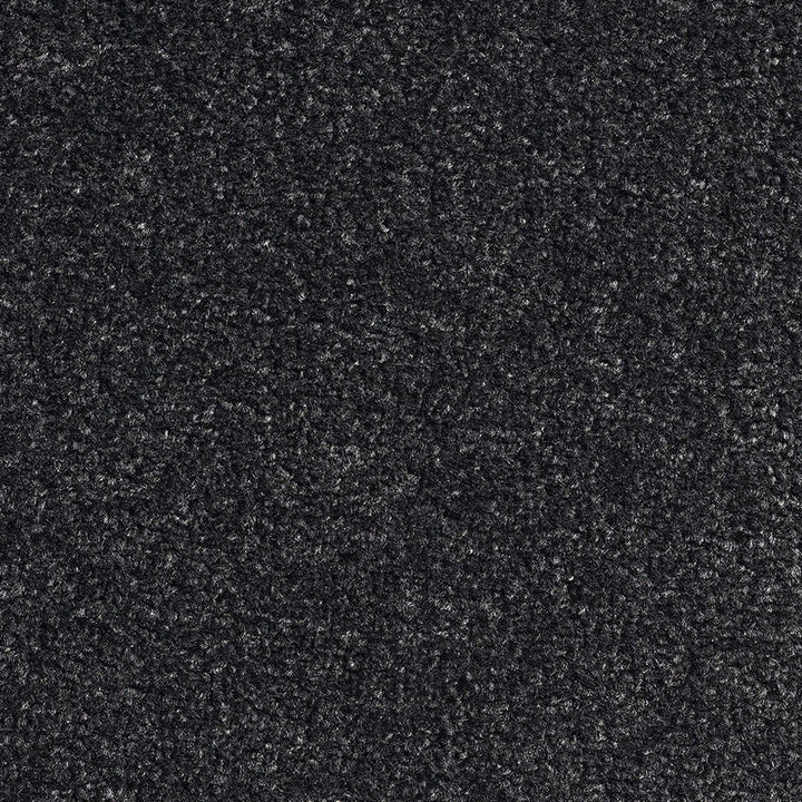 Revolution SB Platinum 78 Carpet