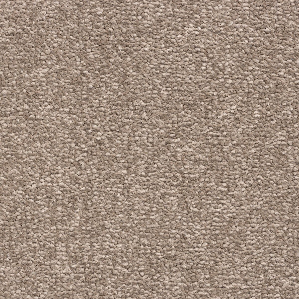 Caprice Mocha 90 Carpet